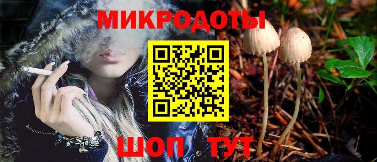 Галлюциногенные грибы Psilocybine cubensis Кудрово